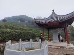 -龙坞茶村