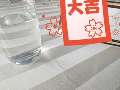 -诺莱仕游艇会