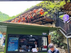 -将军关探险漂流