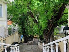 -龙环葡韵住宅式博物馆
