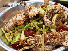 麻辣虾爬子-辣盆盆麻辣小龙虾(哈尔滨总店)