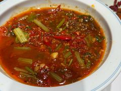 -欧记大排档·景德菜(上海首店)