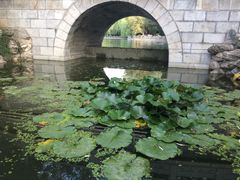 -莲湖公园