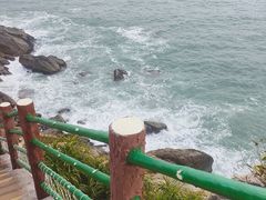 -广东惠东海龟国家级自然保护区