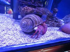 -太平洋海底世界