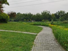 -桤木河湿地公园