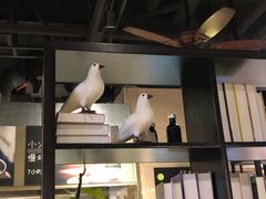 -小金鬼·煎饺·鸽子汤