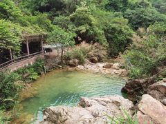 -南海湾森林生态园
