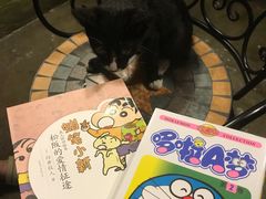 -猫猫幼稚园·撸猫·桌游·电玩