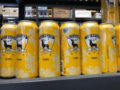 -第35届青岛国际啤酒节