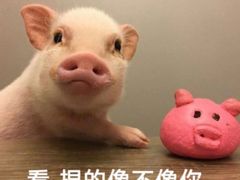 -演武大桥观景平台