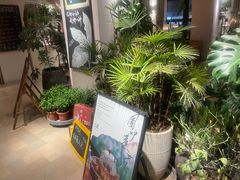 -长春藤咖啡(北园店)