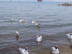 -青海湖二郎剑景区