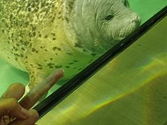 -嘉兴海底世界