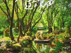 -上海共青森林公园