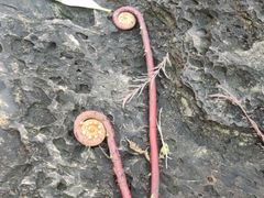 -水濂山森林公园