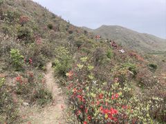 -广东天露山旅游度假区