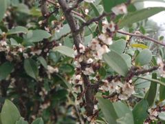 -金堂县云顶石城风景区