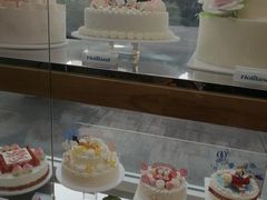 -蒲公英(五里店)