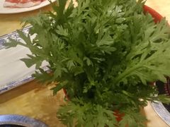 -清真军邺·金富苑肥牛(石坡街旗舰店)
