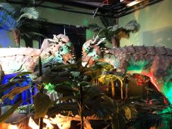 -恐龙探索乐园(磁器口店)