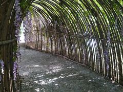 -银树楼(紫玉山庄东区店)