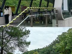 -铁山坪森林公园