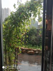 -贝贝宝宝儿童摄影