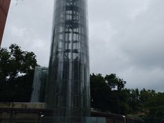 -金虹桥商场