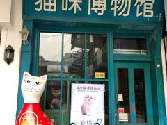 -猫咪博物馆(顶澳仔猫街店)
