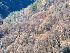 -罗田天堂寨风景区