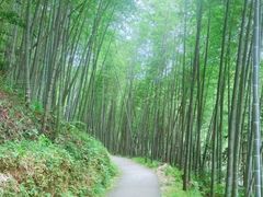 -千泷沟大瀑布旅游区
