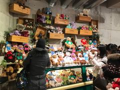 -济州岛泰迪熊博物馆