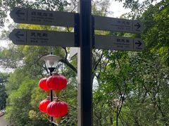 -莆田湄洲妈祖祖庙