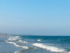 -日照海滨国家森林公园