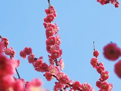 -静安雕塑公园