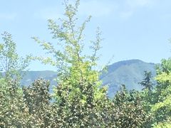 -秦始皇帝陵博物院-丽山园