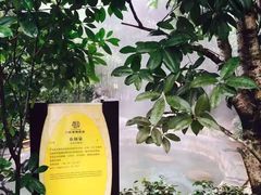 -深业半汤御泉庄温泉