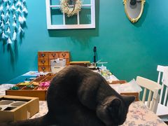 -觅时光手作·香薰·拼豆豆·陶艺DIY