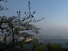 -紫金山山顶公园
