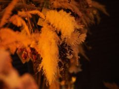 -Catail前苑(前门大街店)