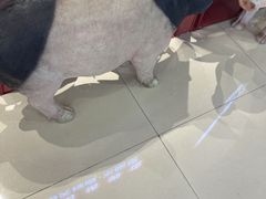 -猪角·闽南猪脚饭(上梅林店)