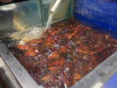 -遇上西雅图多融合海鲜自助餐厅(中房金谊广场店)