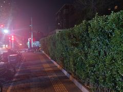 -中国宋庆龄青少年科技文化交流中心