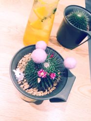 -悦诗风吟innisfree