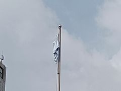 -上海市育民中学