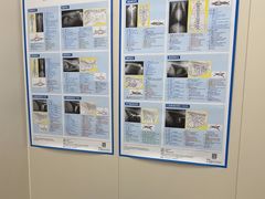 -芭比堂动物医院·CT·微创中心(新顺分院)