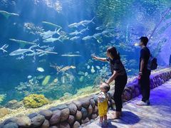 -华夏文旅海洋公园