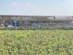 -夏河溪乡野公园