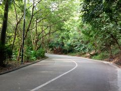 景点-火炉山森林公园